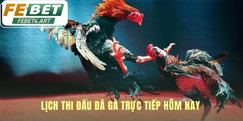 Đá Gà Lịch thi đấu cập nhật liên tục mỗi ngày không bỏ lỡ trận hay